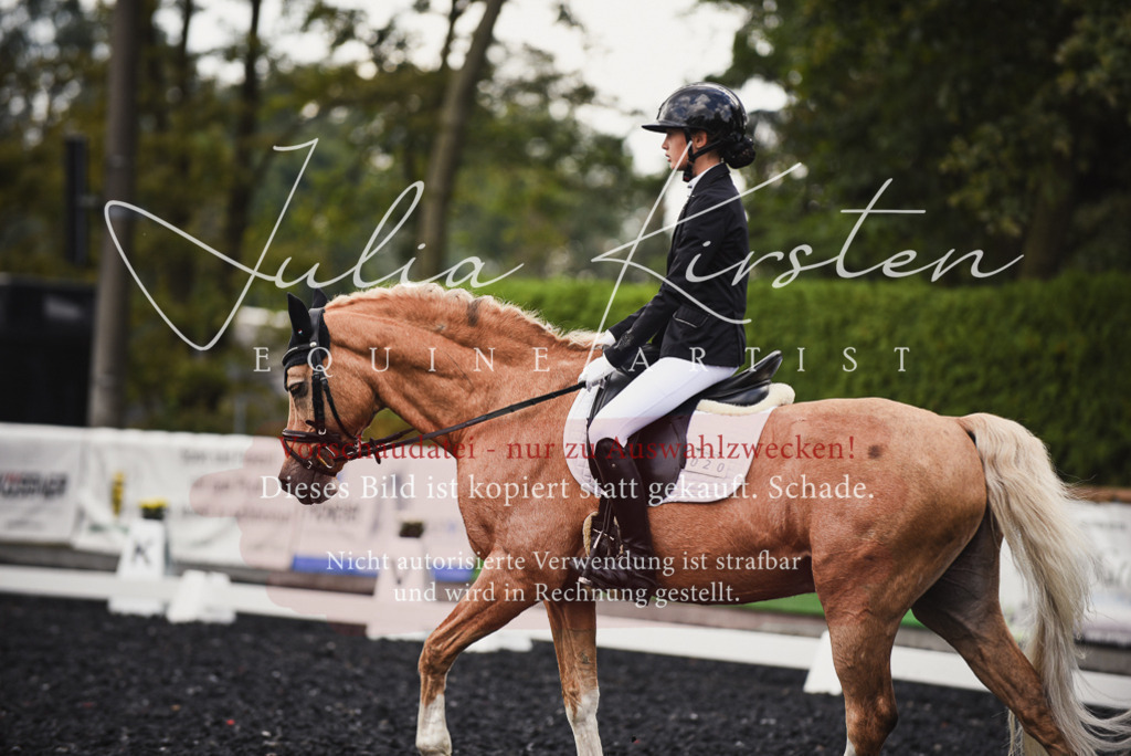 DSC_3824 | Pferde- und Turnierfotografie in Westsachsen. Pferdeportraits, Auftragszeichnungen und intuitive Kunst.