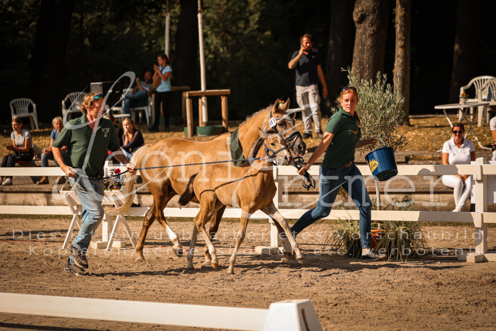 10.DoRP00242 | Leoni Ertmer Photography - Realisiert mit Pictrs.com