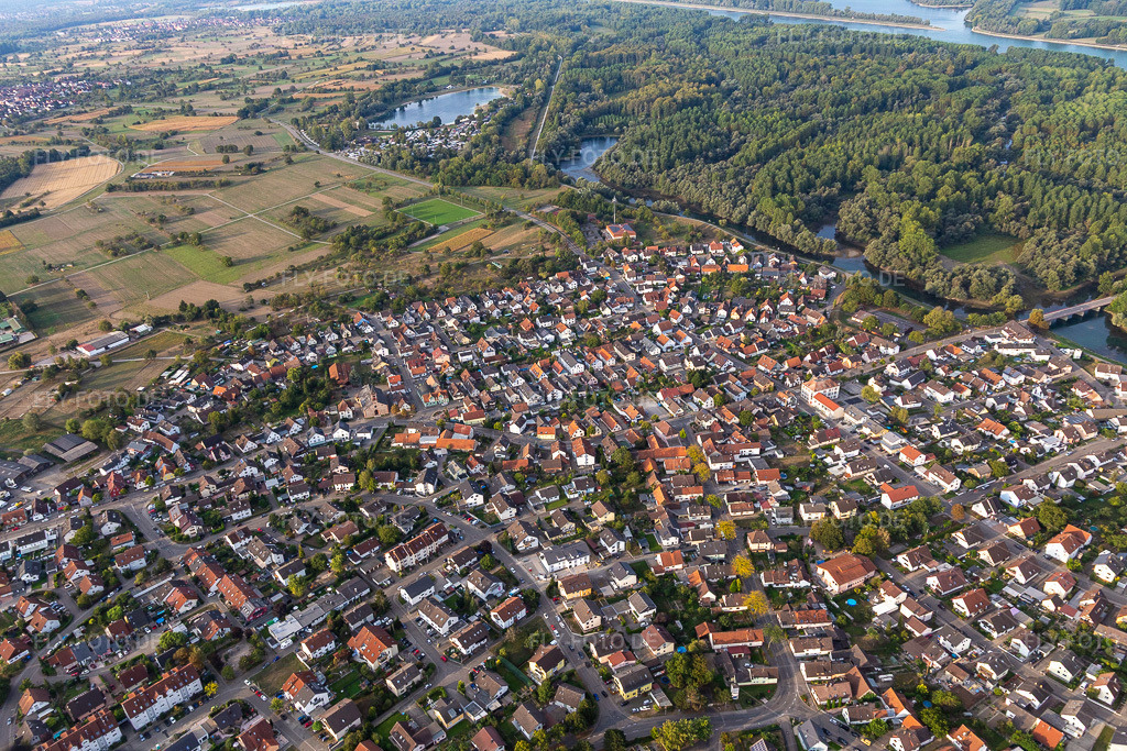 Luftbild: Rödereckring im Ortsteil Plittersdorf in Rastatt im Bundesland Baden-Württemberg in Deutschland. Foto: IMG_008754.jpg vom 20.09.2020 durch Werner Riehm/FLY-FOTO.de