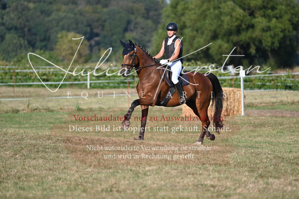 DSC_9123 | Pferde- und Turnierfotografie in Westsachsen. Pferdeportraits, Auftragszeichnungen und intuitive Kunst.