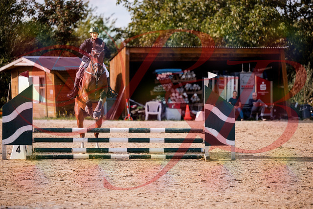 2026_10_03_Siefer-Hof_155604_Z81_75271593 | Professionelle Reitsport-, Turnier- und Eventfotografie von Robert Broda. Galerien mit ausgewählten und bearbeiteten Bildern direkt online ansehen und bestellen.