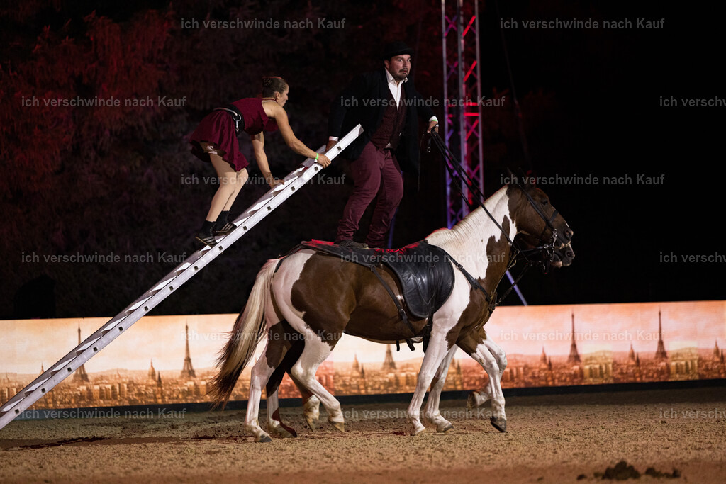 Gala-175 | working equitationturnier fotograf videograf stoibphotography marixx film working equitation deutschland reitsport turnierfotografie eventfotografie equestrian events