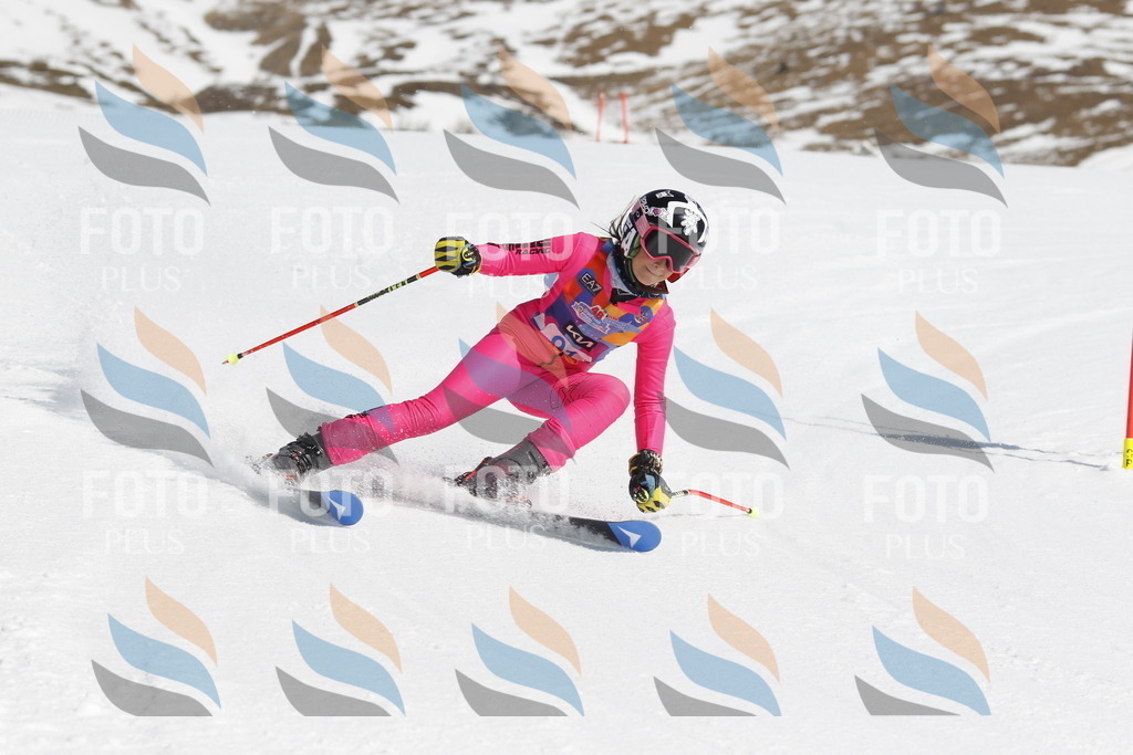 _U3G0180 | holidayphoto