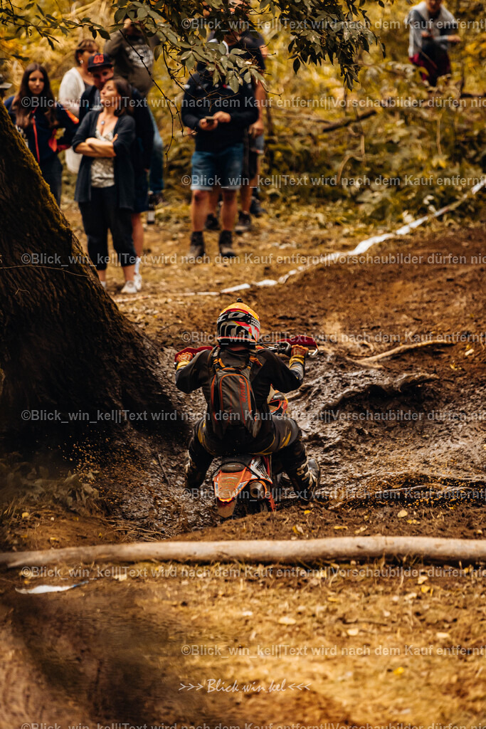 E68A6038 | blick_win_kel