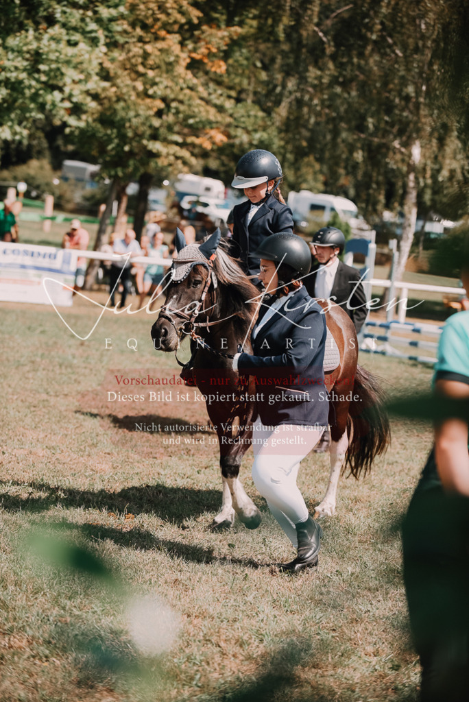 DSC_6023 | Pferde- und Turnierfotografie in Westsachsen. Pferdeportraits, Auftragszeichnungen und intuitive Kunst.