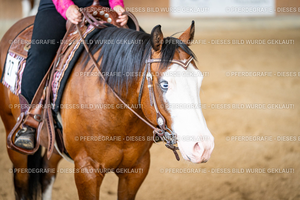 DSC08295 | Pferdegrafie