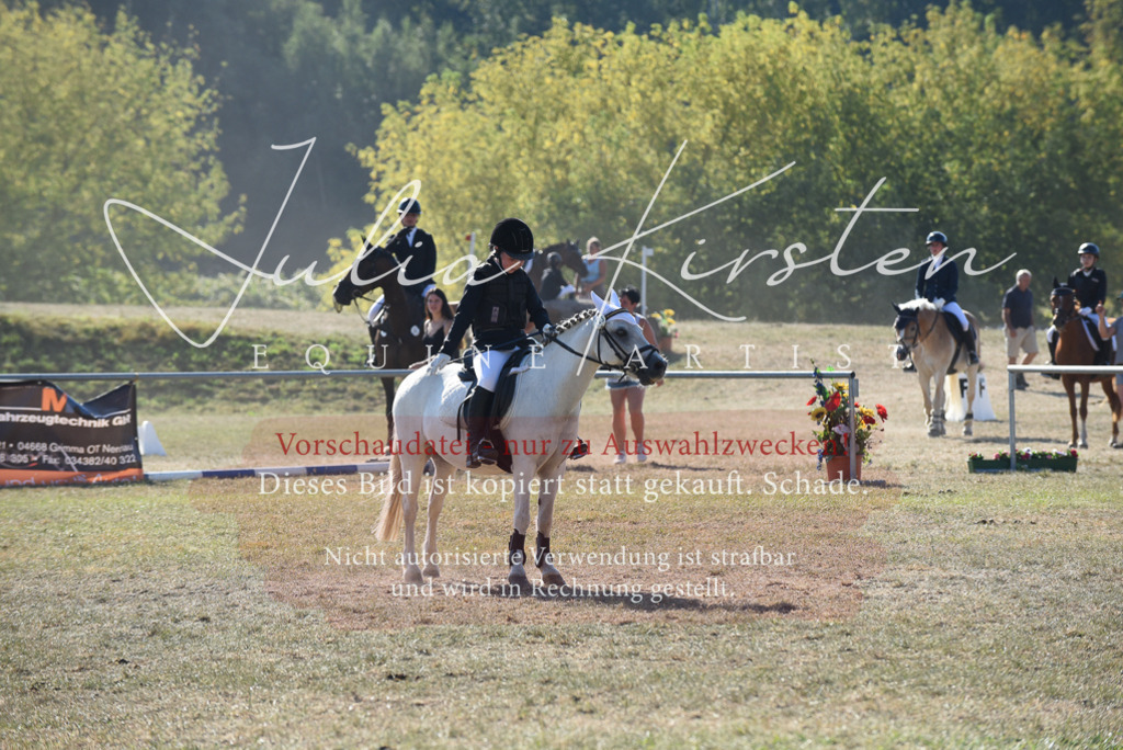 DSC_5906 | Pferde- und Turnierfotografie in Westsachsen. Pferdeportraits, Auftragszeichnungen und intuitive Kunst.