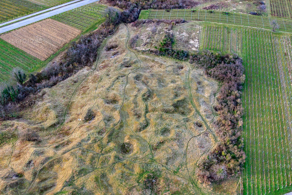 Luftbild: Naturschutzgebiet Kleine Kalmit im Winter aus Süden im Ortsteil Arzheim in Landau im Bundesland Rheinland-Pfalz in Deutschland. Foto: IMG_62193.jpg vom 23.02.2014 durch Werner Riehm/FLY-FOTO.de