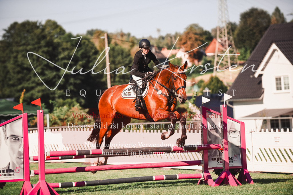DSC_2240 | Pferde- und Turnierfotografie in Westsachsen. Pferdeportraits, Auftragszeichnungen und intuitive Kunst.