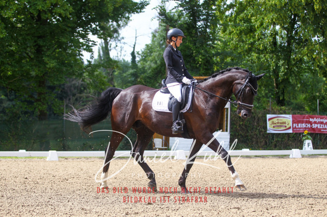 DKP41916 | Turniersportfotografie; Pferdefotografie; Dressurfotografie