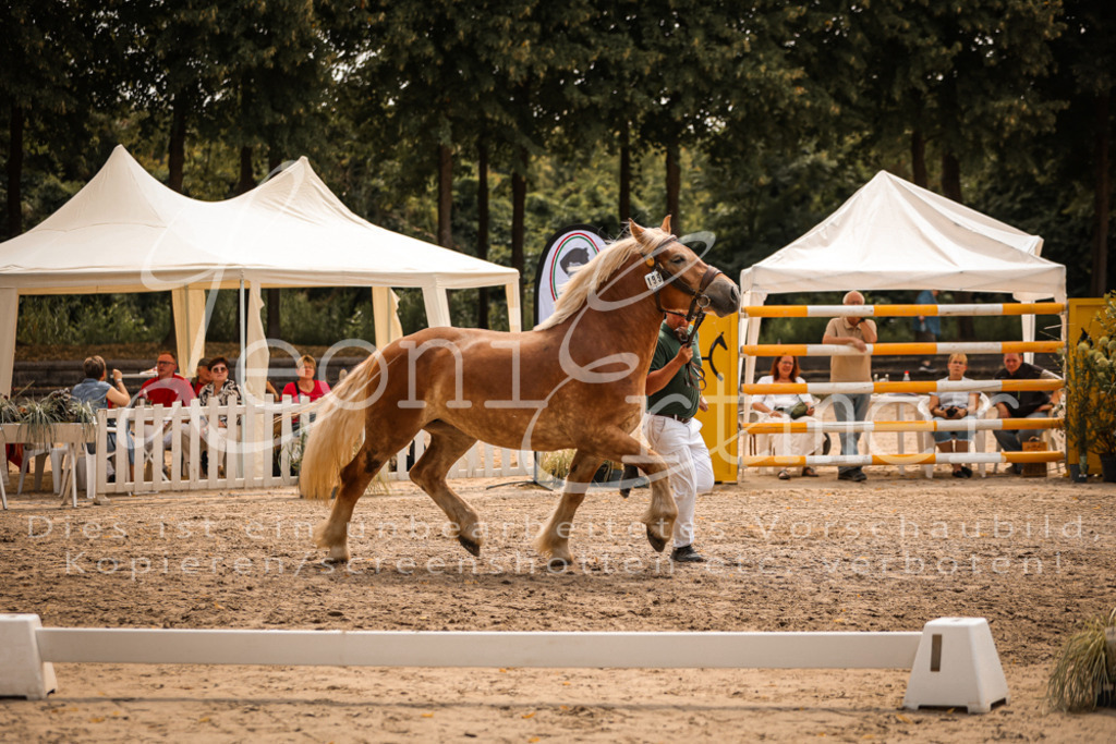 4.Sa00067 | Leoni Ertmer Photography - Realisiert mit Pictrs.com