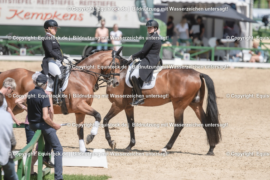 DSC_7758 | equistock