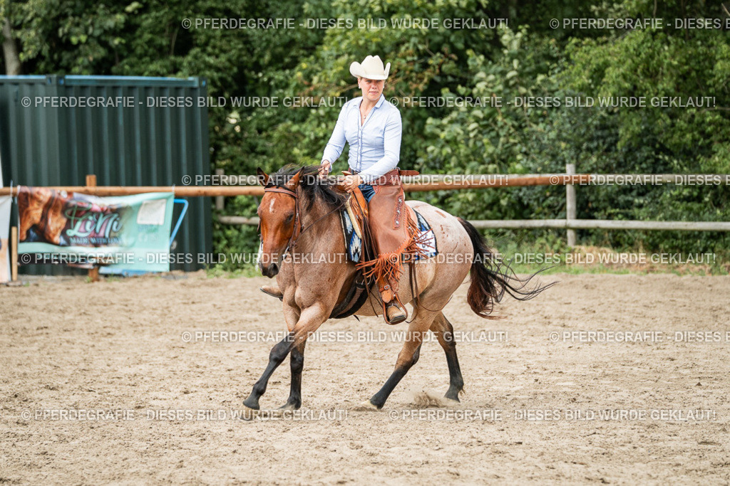 DSC01759 | Pferdegrafie