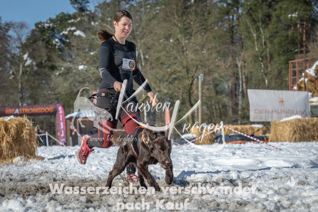 1137_ZZ90471-4 | kk-dogfotos