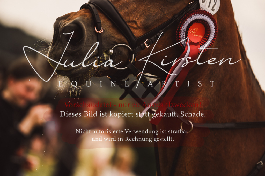 DSC_7016 | Pferde- und Turnierfotografie in Westsachsen. Pferdeportraits, Auftragszeichnungen und intuitive Kunst.