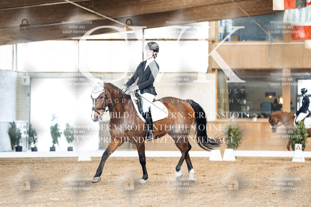 CK900659 | Turnierfotografie Pferdefotografie Trier Rheinland-Pfalz Pferdesport Reitsport Tierfotografie Sportfotografie Pferdevideo Pferdevideografie Equestrianvideography equestrianphotography  - Realisiert mit Pictrs.com