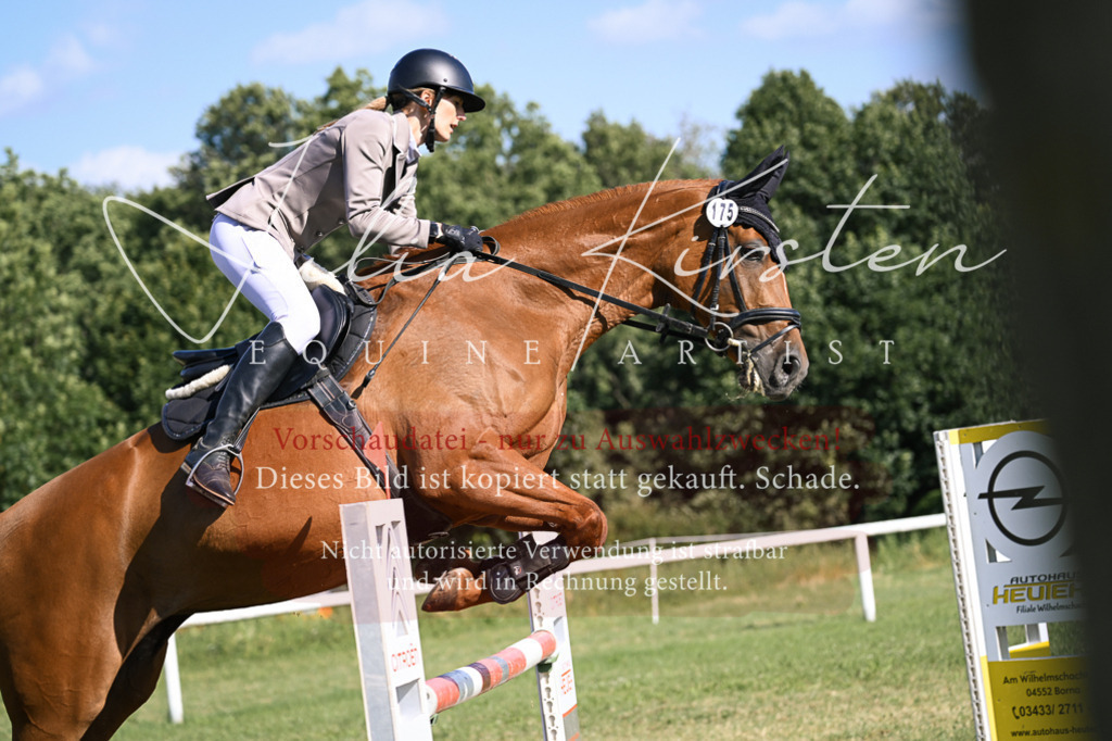 DSC_1297 | Pferde- und Turnierfotografie in Westsachsen. Pferdeportraits, Auftragszeichnungen und intuitive Kunst.
