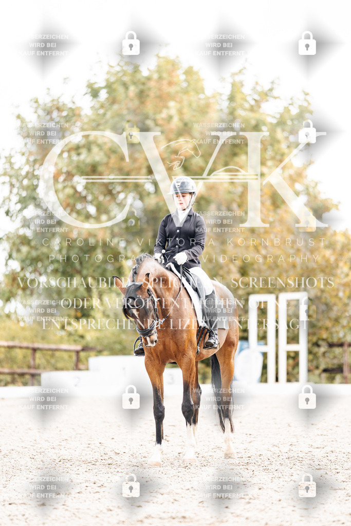 CK901019 | Turnierfotografie Pferdefotografie Trier Rheinland-Pfalz Pferdesport Reitsport Tierfotografie Sportfotografie Pferdevideo Pferdevideografie Equestrianvideography equestrianphotography  - Realisiert mit Pictrs.com