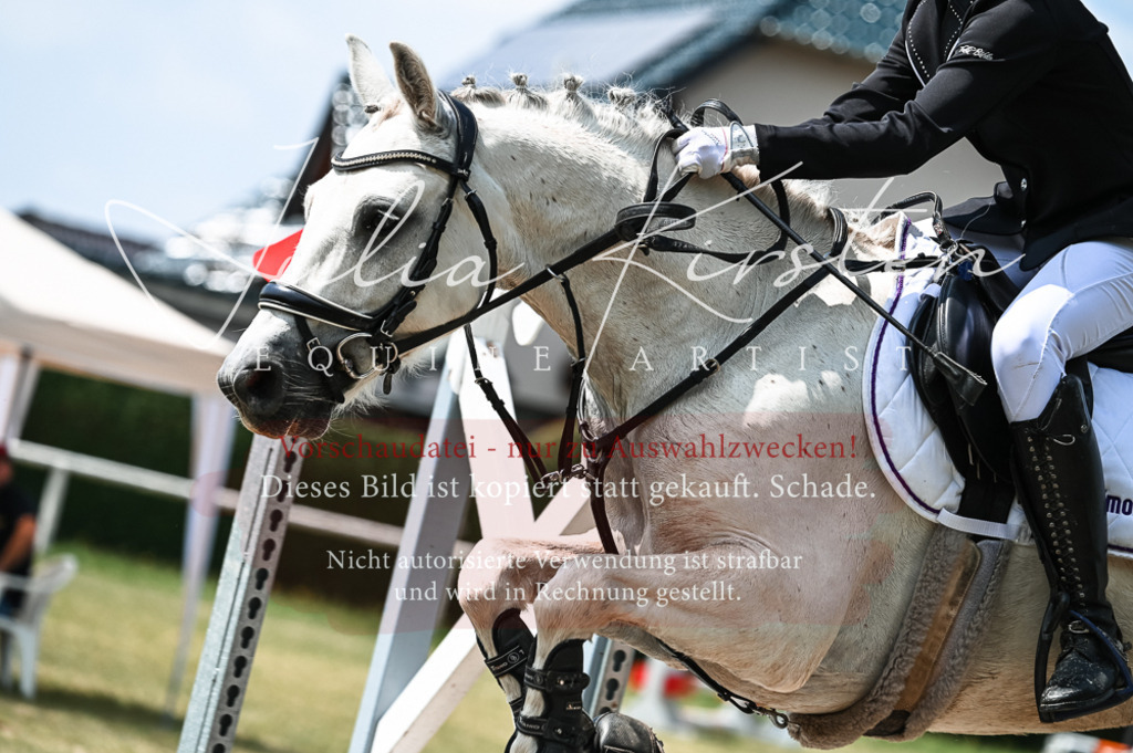 DSC_9419 | Pferde- und Turnierfotografie in Westsachsen. Pferdeportraits, Auftragszeichnungen und intuitive Kunst.
