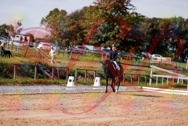 2026_10_03_Siefer-Hof_115626_Z81_97361878 | Professionelle Reitsport-, Turnier- und Eventfotografie von Robert Broda. Galerien mit ausgewählten und bearbeiteten Bildern direkt online ansehen und bestellen.