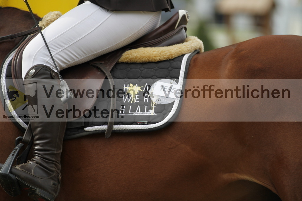 _MG_1362 | equestrian-live-com