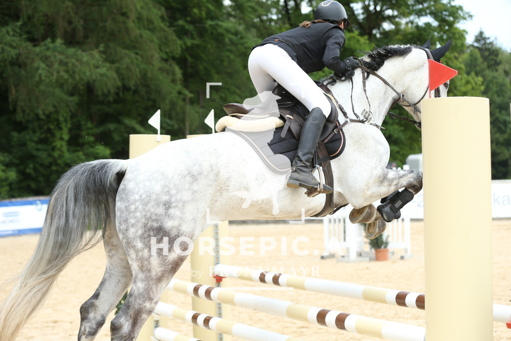 DL2Q3862 | Willkommen bei Brunnmayr - Design & Fotografie – Ihrem Spezialisten für Reitturniere und Pferdeveranstaltungen in Oberösterreich, Salzburg und Bayern! Seit über 17 Jahren sind wir leidenschaftlich dabei.