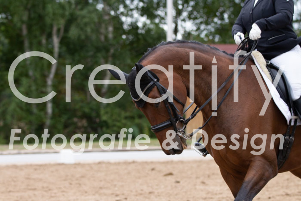 IMG_7512 | Creatify Fotografie