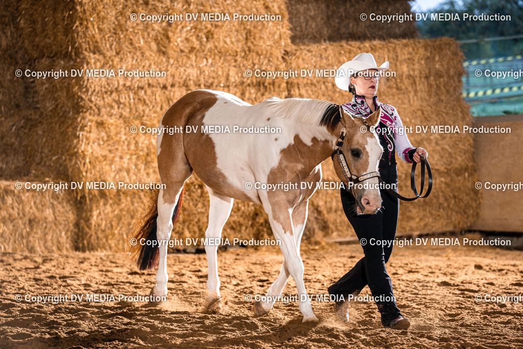 Balingen Tag 1-42 | dv-media-shop - Realisiert mit Pictrs.com