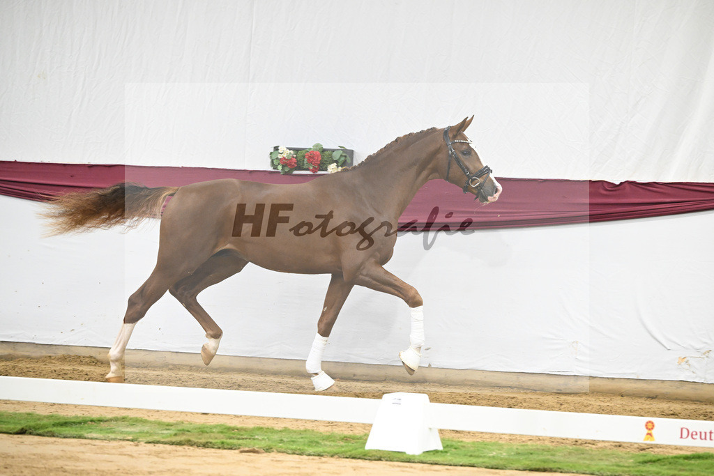 Kat-Nr. 54 Bonds x Zoom_Matthias Schlamminger GmbH_47252032 | hf-fotografie - Realisiert mit Pictrs.com