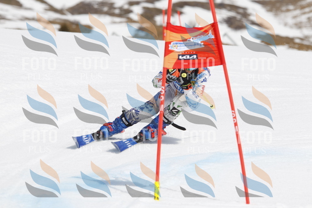 _U3G2665 | holidayphoto