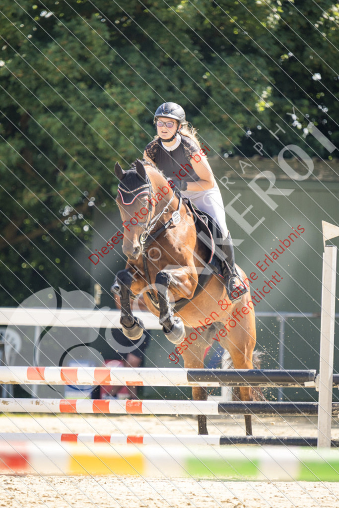 IMG_3420 | Sport-, Event- und Tierfotos in Profiqualität. Einfach auswählen, bestellen und herunterladen. Dein Moment – perfekt festgehalten.