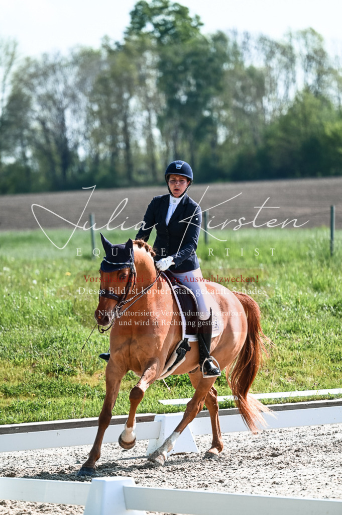 20230514_JK-Röhrsdorf-18-308 | Pferde- und Turnierfotografie in Westsachsen. Pferdeportraits, Auftragszeichnungen und intuitive Kunst.