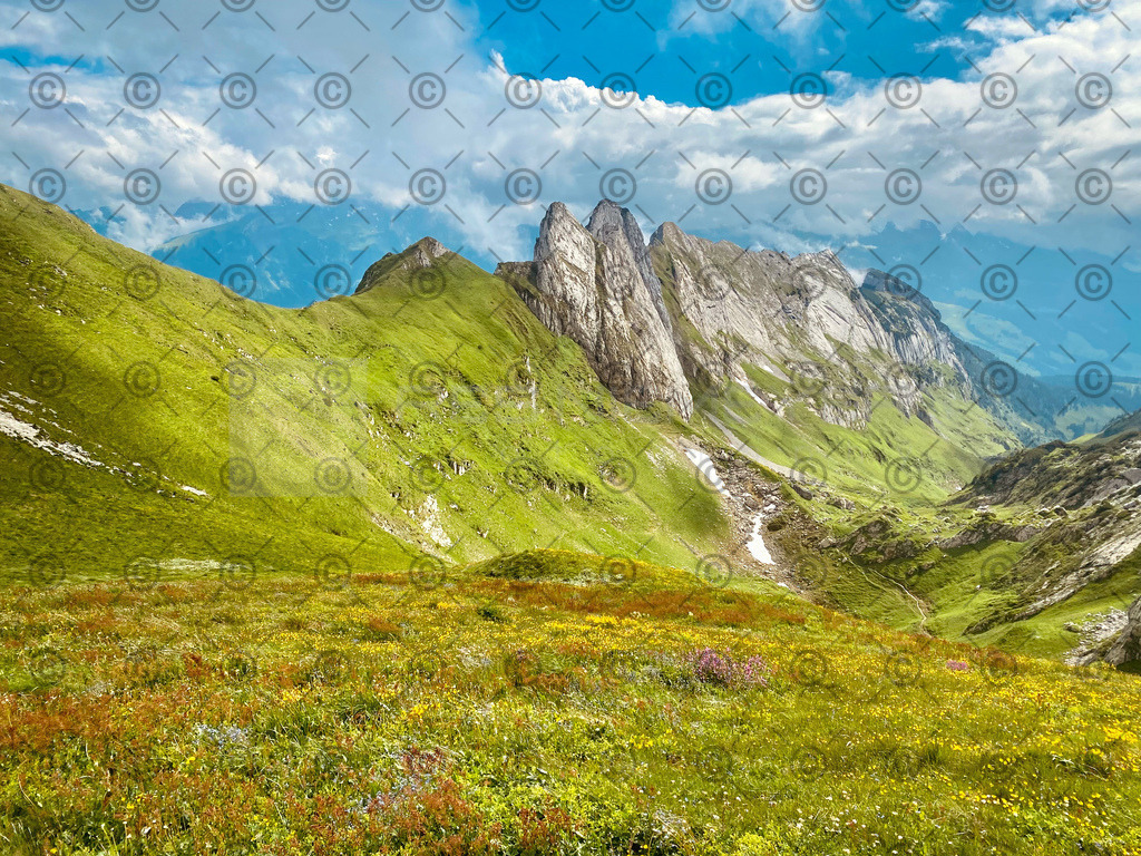 IMG_0959_jpg | Res Niemeyer Photography - Realisiert mit Pictrs.com