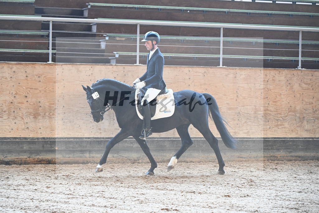 Kat-Nr. 12 Manhattans Highlight v. Manhattan Love Story_Agrar GmbH Crawinkel_43250194 | hf-fotografie - Realisiert mit Pictrs.com