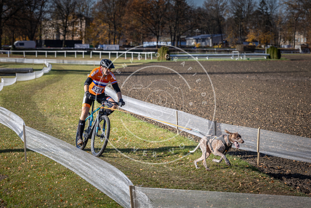 CaniXpix_DV3A7049 | Hundefotografie, Tierfotograf, Pfotenfotografie, Fotoshooting Hund, Hunde Portrait, Hundesport, Hundeportraits, Heideshooting, Hunde, Sportfotograf, Hundefotograf, Turnierhundsport, THS,  - Realisiert mit Pictrs.com