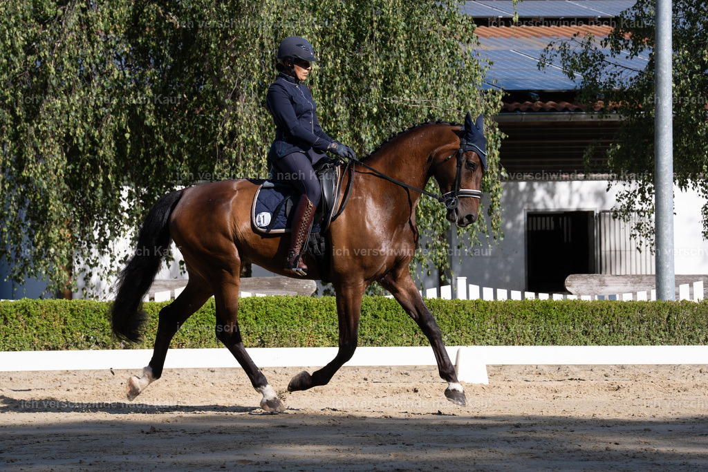 WL_DR_41_sinafilmart_IN06201 | working equitationturnier fotograf videograf stoibphotography marixx film working equitation deutschland reitsport turnierfotografie eventfotografie equestrian events