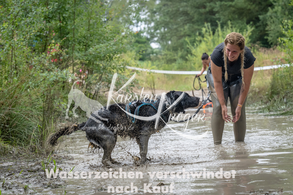 1339_ZZ91392 | kk-dogfotos