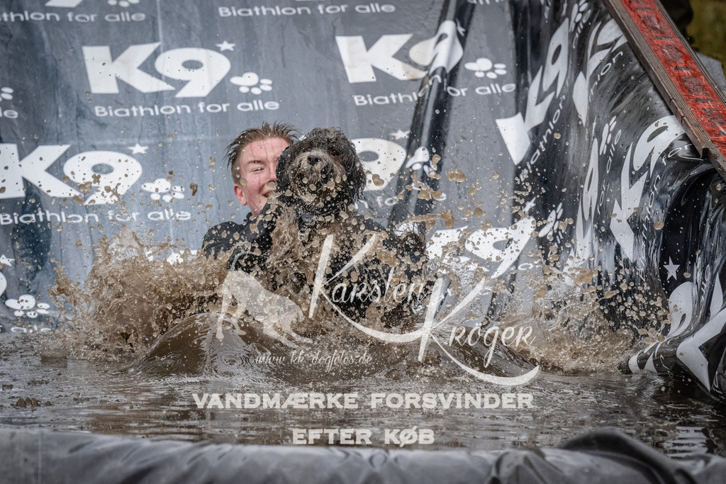 1134_ZZ93084 | kk-dogfotos