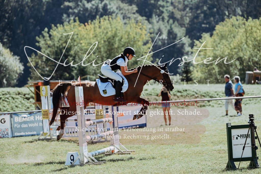 DSC_6158 | Pferde- und Turnierfotografie in Westsachsen. Pferdeportraits, Auftragszeichnungen und intuitive Kunst.