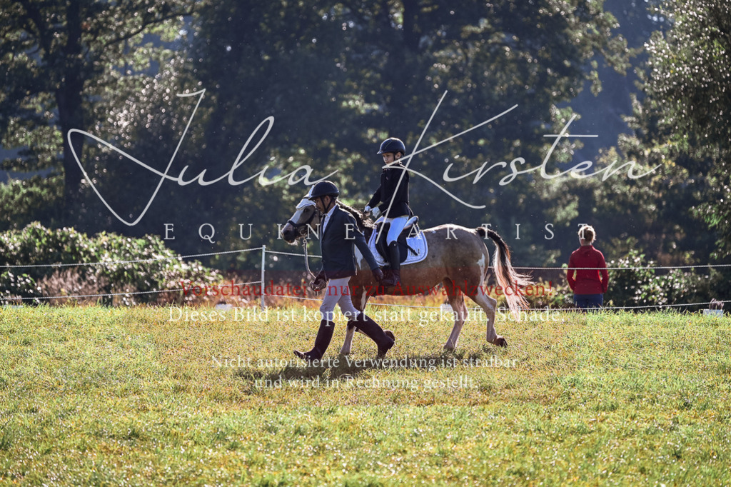 DSC_0322 | Pferde- und Turnierfotografie in Westsachsen. Pferdeportraits, Auftragszeichnungen und intuitive Kunst.