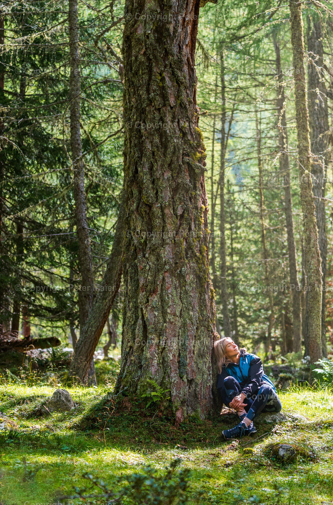 Dorfertal_Erlebnisraum_Wald_23_Peter_Maier-2126 | piet_flosse