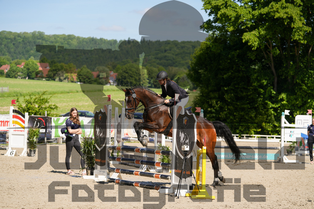 DSC02193 | Julian Held Fotografie - Realisiert mit Pictrs.com