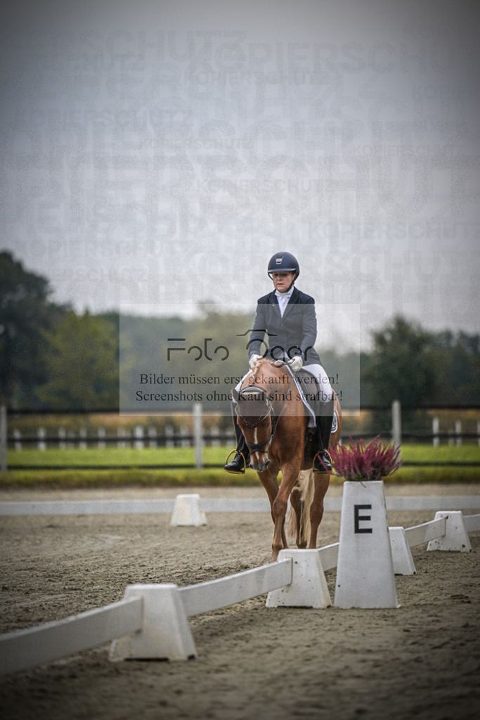 DOS_0328 | Entdecke hochwertige Reitturnierfotos von Foto Oger. Professionell, emotional und authentisch – jetzt Lieblingsmomente im Shop bestellen.Deutschlandweite Turnierfotografie. - Realisiert mit Pictrs.com