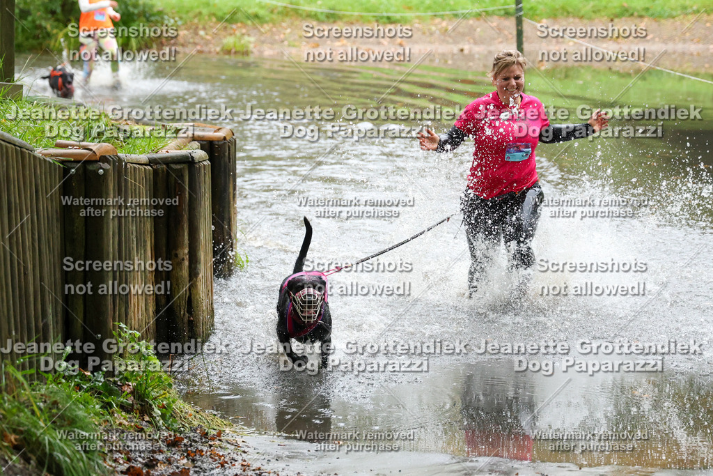 Dog Paparazzi -  SD1026-8227 | Dog Paparazzi Jeanette Grottendiek Fotografie & Videografie - Realisiert mit Pictrs.com