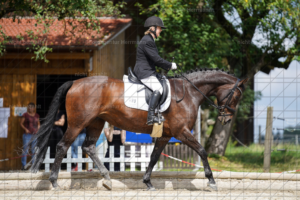20230826-FAH05512 | Forstinning, 2023, Dressurturnier, Turniersportbilder, Turnierfotografen Bayern, Fotoagentur Herrmann, Reitsportfotografie, Turnierbilder