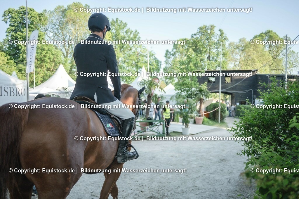 DSC_8694 | equistock