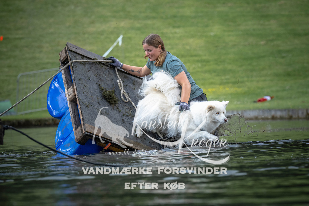 0838_ZZ99840 | kk-dogfotos