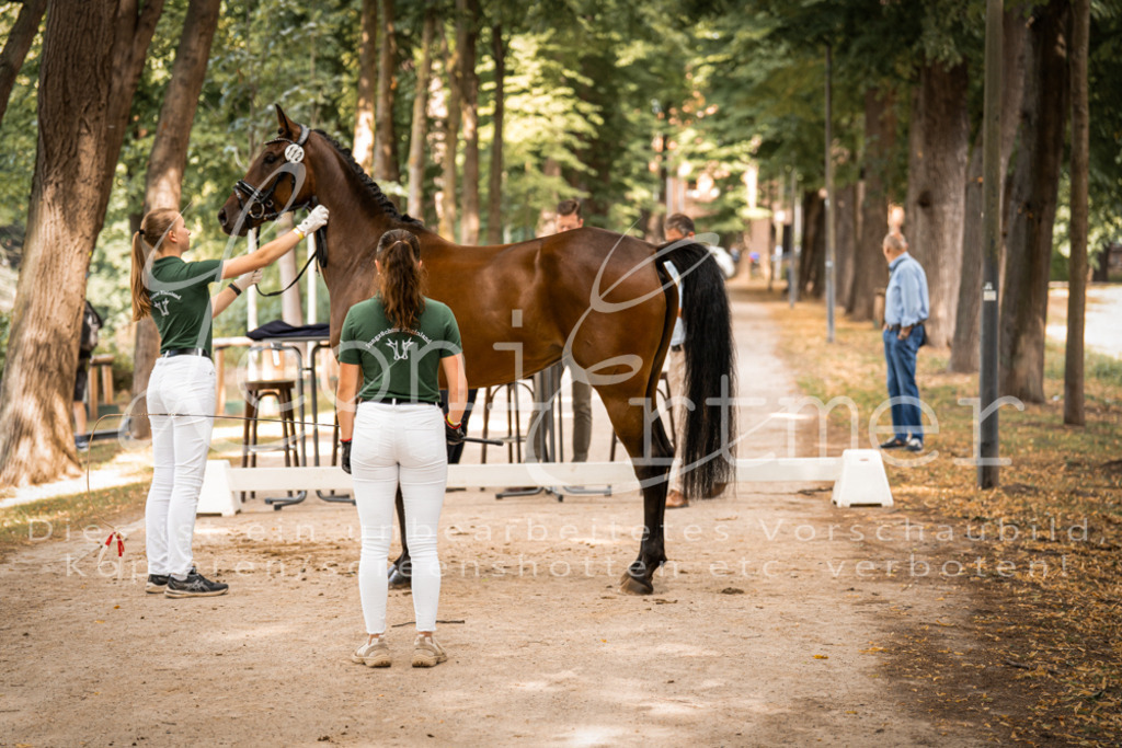 FrPfM00137 | Leoni Ertmer Photography - Realisiert mit Pictrs.com