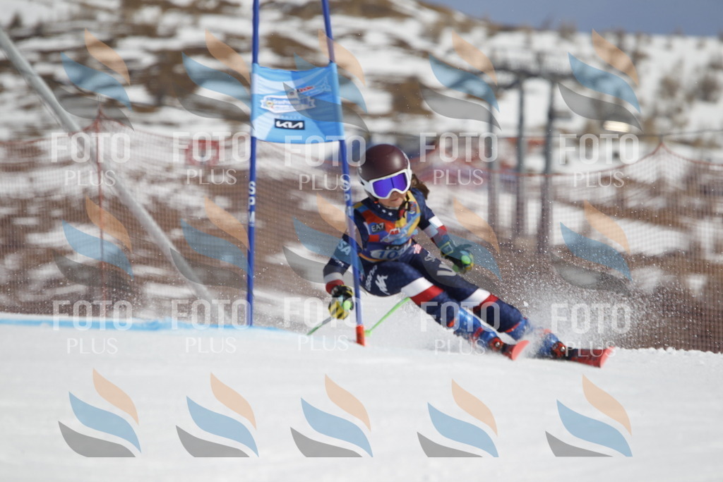 _U3G0447 | holidayphoto