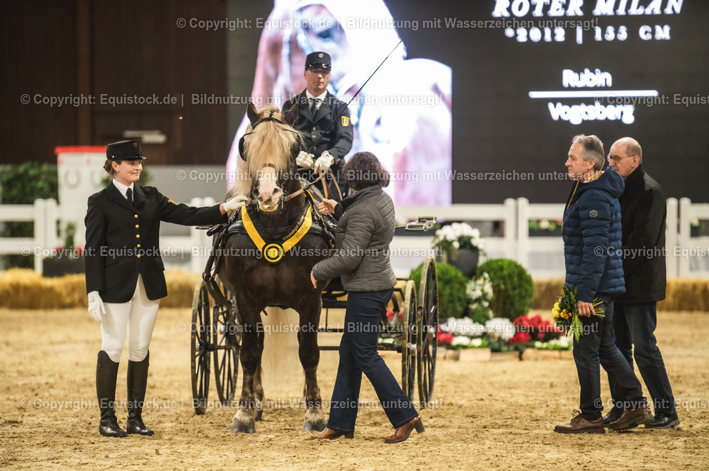 20240302_Hengstvorstellung_Marbach_TOMsPiC_0664-2 | equistock